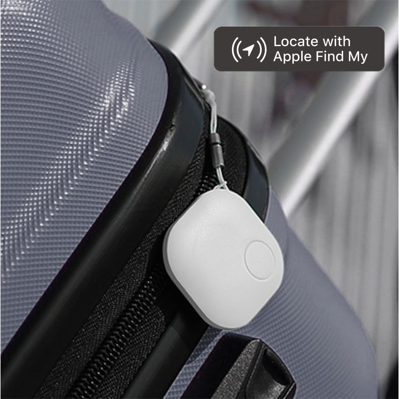 What Will You Do If Your luggage Lost ?丨MSH